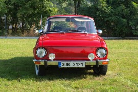 Škoda 100