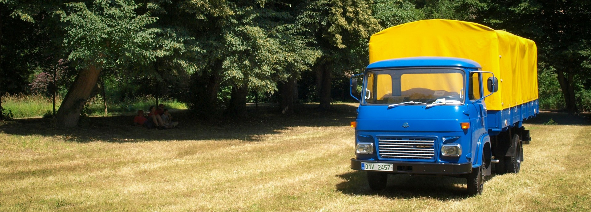 Avia 30
